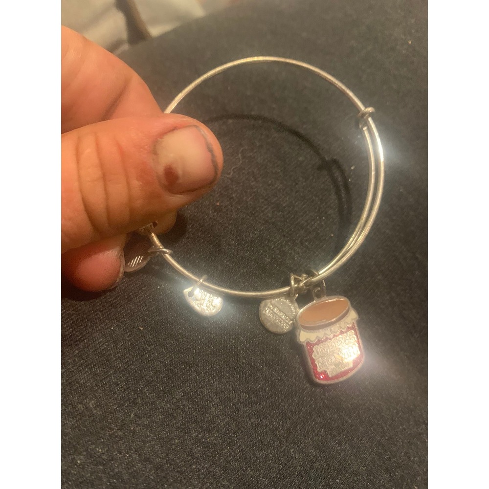 Alex and Ani Christmas Vacation Jelly of the Month Club Bangle Bracelet Silver